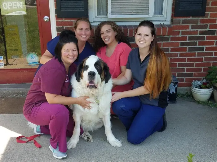 Camp Road Animal Clinic Picture 2