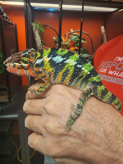 D.K. Reptiles and More Picture 2