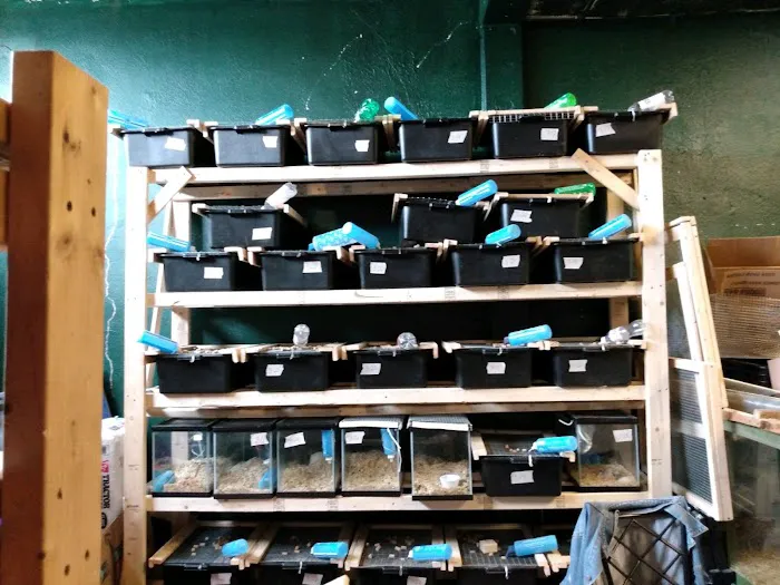 D.K. Reptiles and More Picture 1
