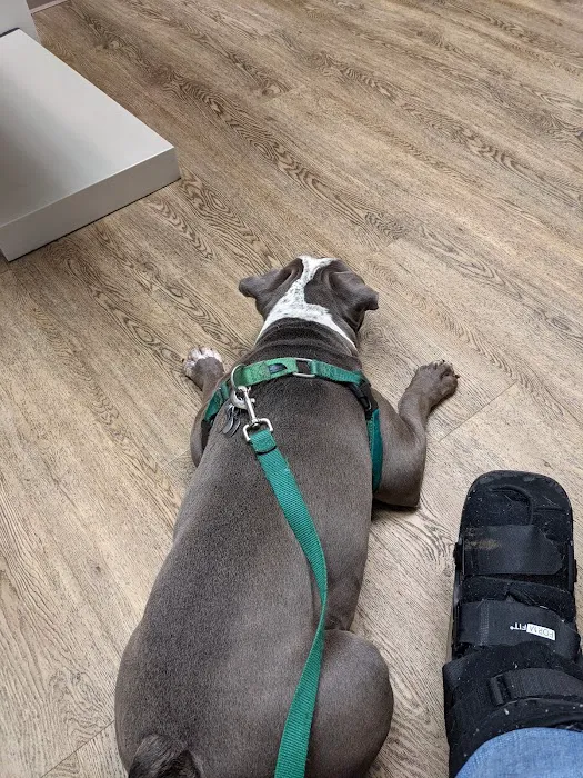 Adoring Pets Vet Health Center Picture 3