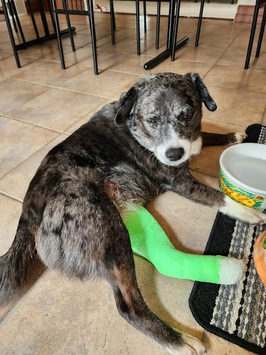 Adoring Pets Vet Health Center Picture 7