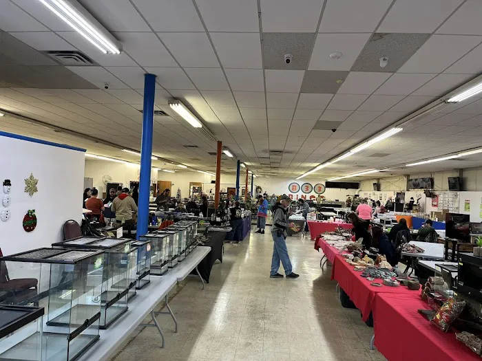 Columbus Reptile Expo Picture 5