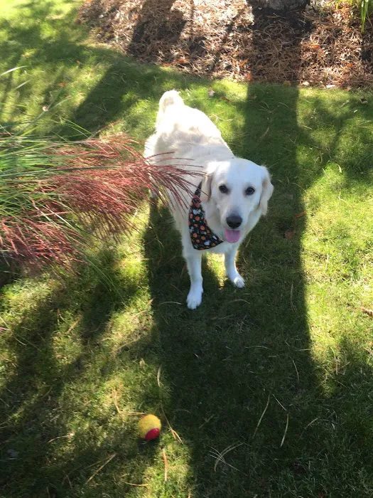 Orchard Park Veterinary Medical Center Picture 7