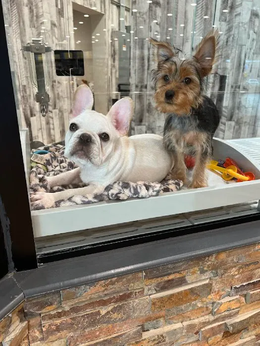 Petland Columbus Upper Arlington Picture 5