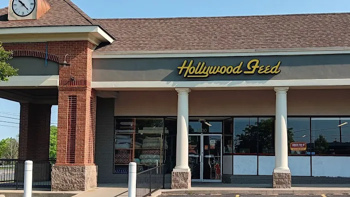 Hollywood Feed Picture 3