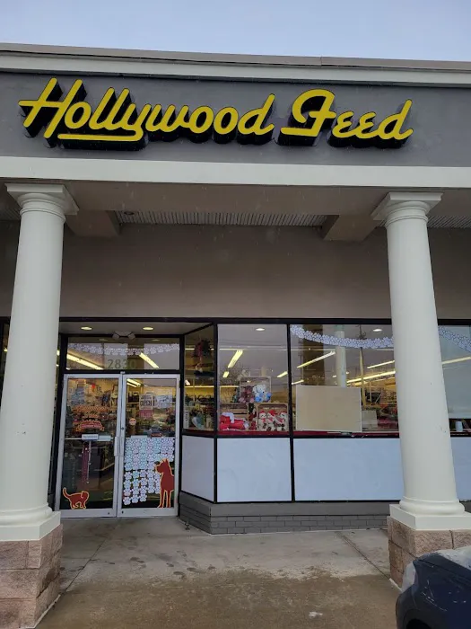 Hollywood Feed Picture 9