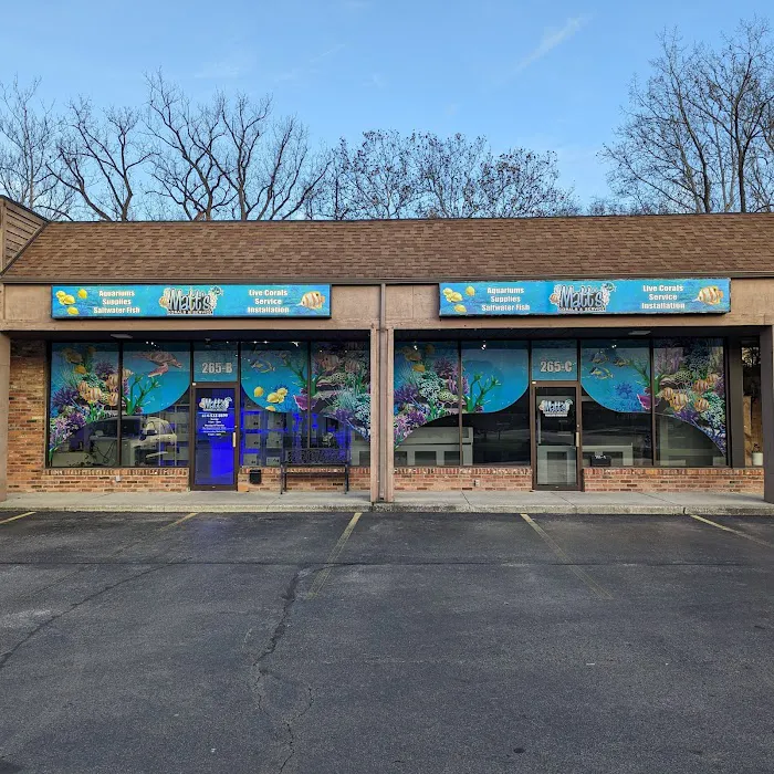 Matt's Corals & Service Picture 1