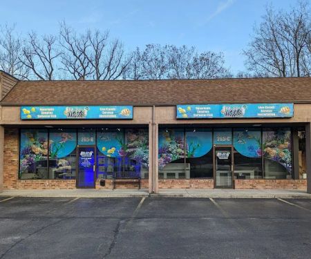 Matt's Corals & Service