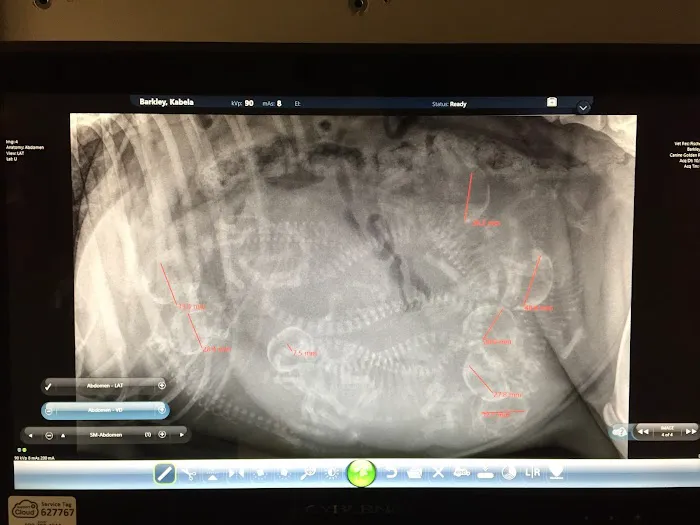 5 Corners Animal Hospital Picture 1