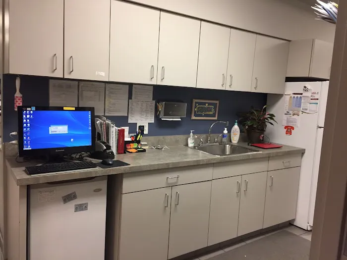 5 Corners Animal Hospital Picture 3