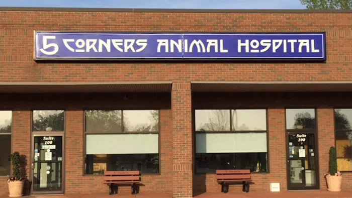 5 Corners Animal Hospital Picture 2