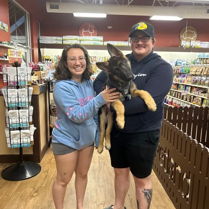Petland Grove City Picture 3