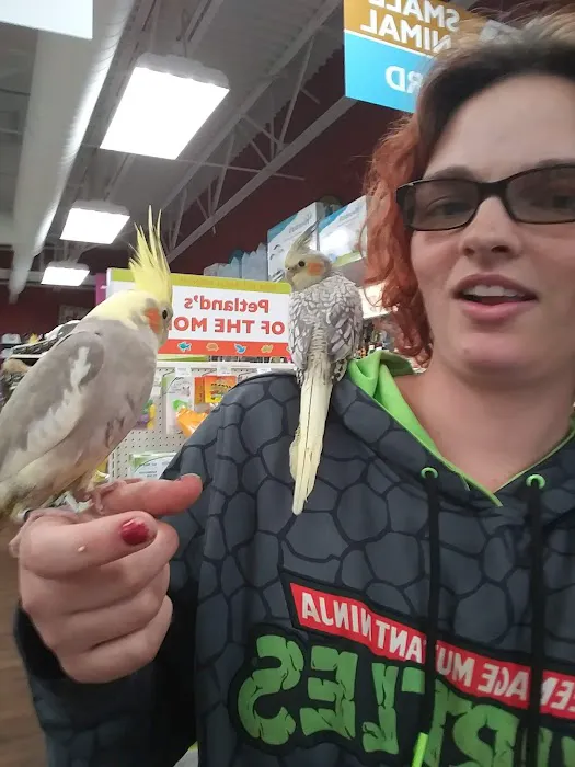 Petland Grove City Picture 6