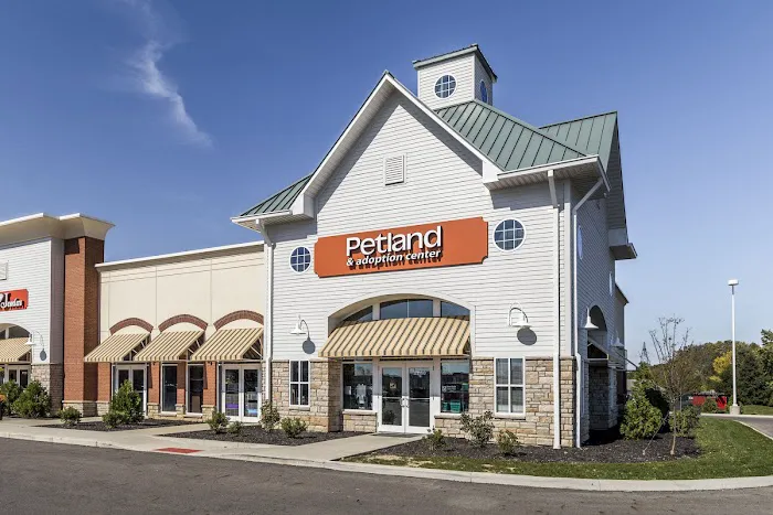 Petland Grove City Picture 8