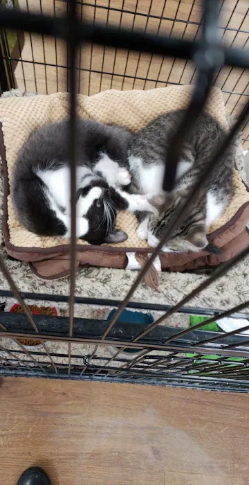 Petland Grove City Picture 10