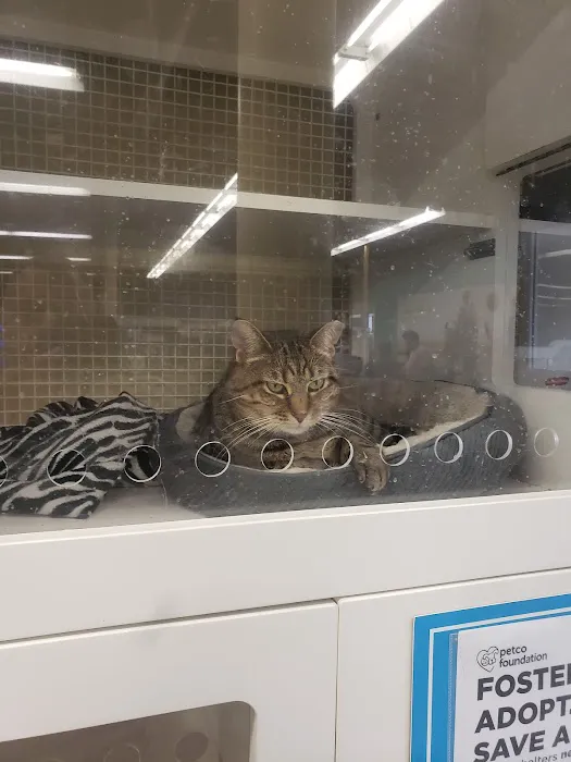 Petco Picture 5