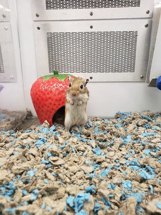 Petco Picture 2