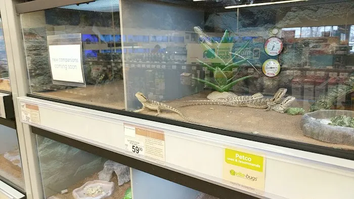 Petco Picture 7