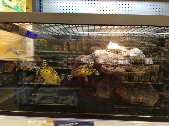 Petco Picture 10