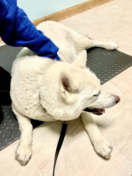 Abbott Road Animal Hospital Picture 2