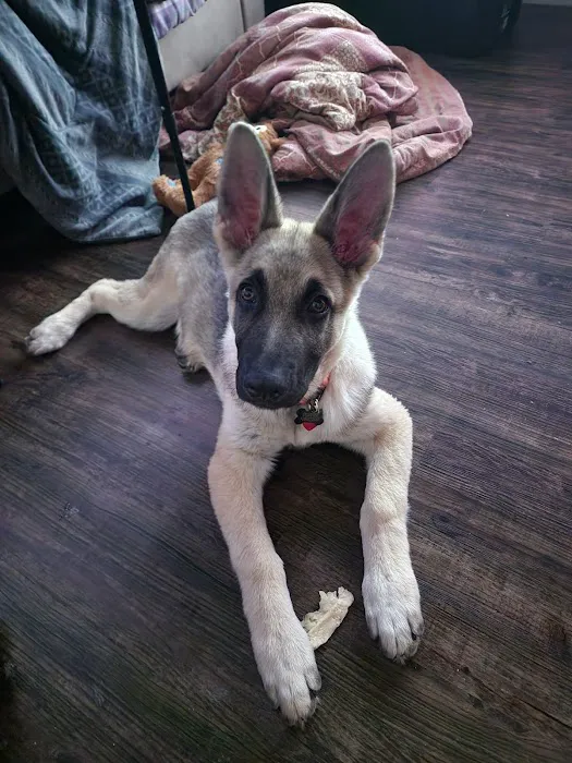 Abbott Road Animal Hospital Picture 1