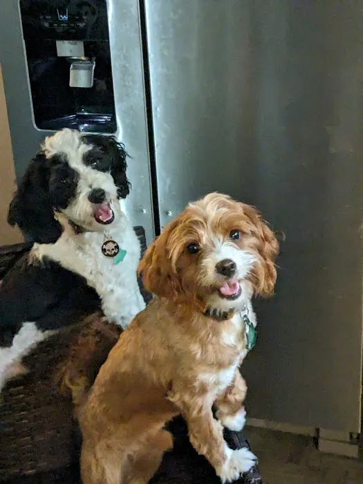 Abbott Road Animal Hospital Picture 5