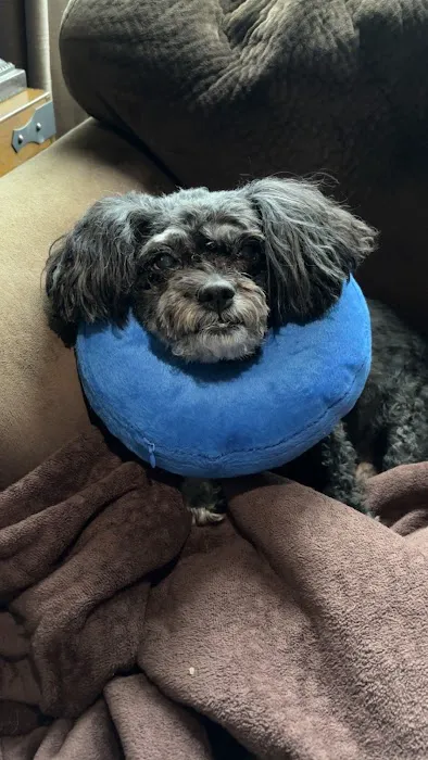 Abbott Road Animal Hospital Picture 6