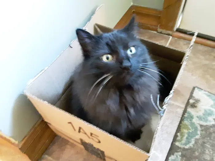 Pine Haven Veterinarian Clinic Picture 8