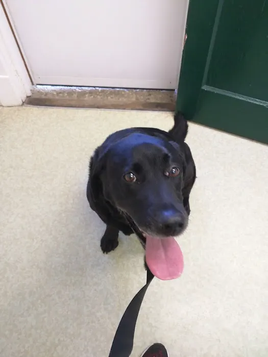 Pine Haven Veterinarian Clinic Picture 10