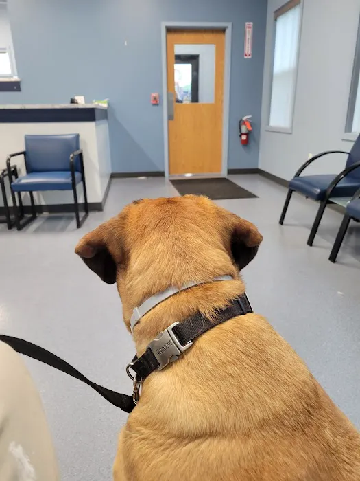Northgate Animal Hospital Picture 2