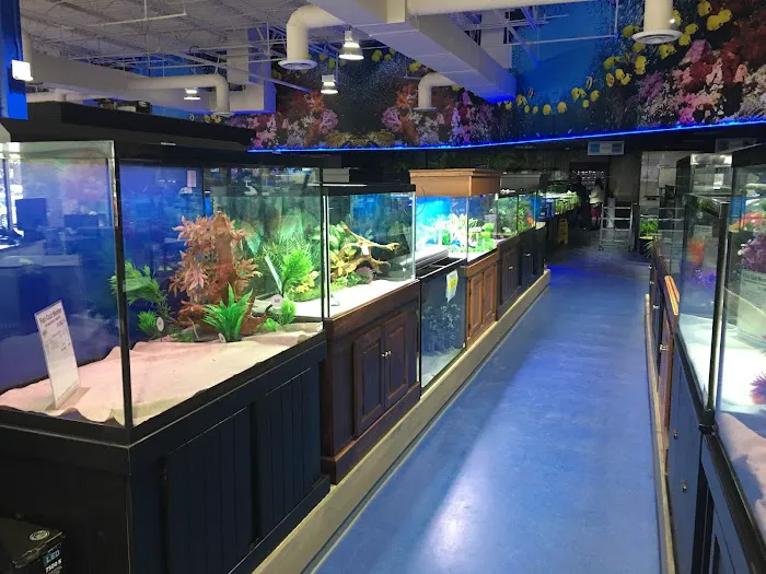 Aquarium Adventure Columbus Picture 3
