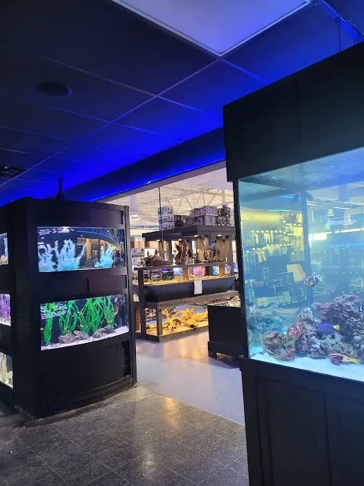 Aquarium Adventure Columbus Picture 6