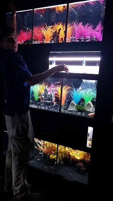 Aquarium Adventure Columbus Picture 4