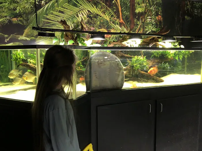 Aquarium Adventure Columbus Picture 8