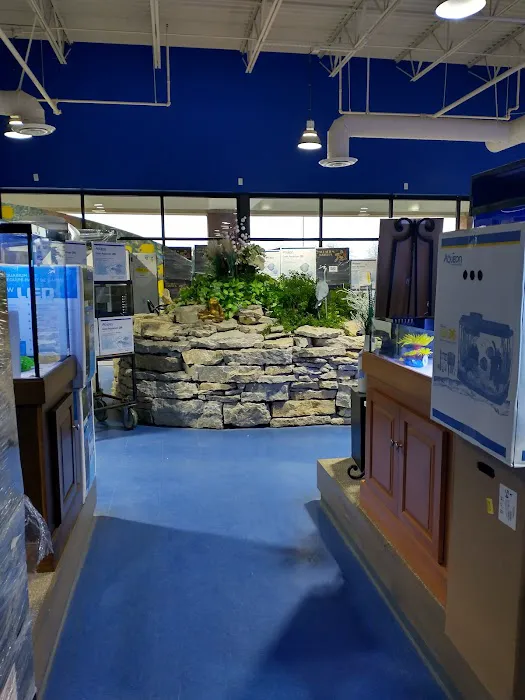 Aquarium Adventure Columbus Picture 10