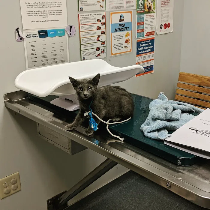 Stone Ridge Veterinary Hospital Picture 3