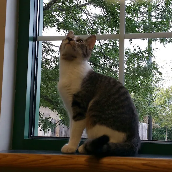 Stone Ridge Veterinary Hospital Picture 5
