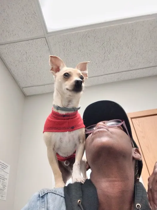 Stone Ridge Veterinary Hospital Picture 8