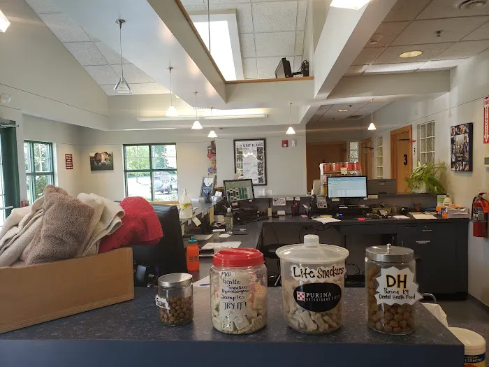 Stone Ridge Veterinary Hospital Picture 10