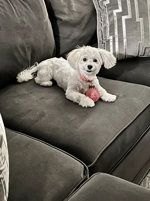 Petco Picture 2