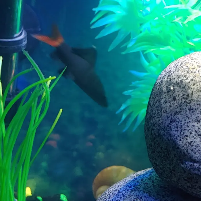 Petco Picture 10