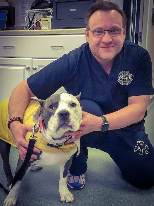 Dermatology for Animals - Rochester Picture 5