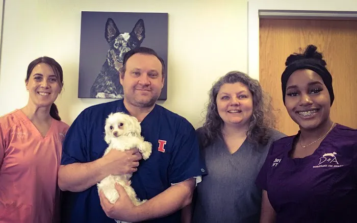 Dermatology for Animals - Rochester Picture 7