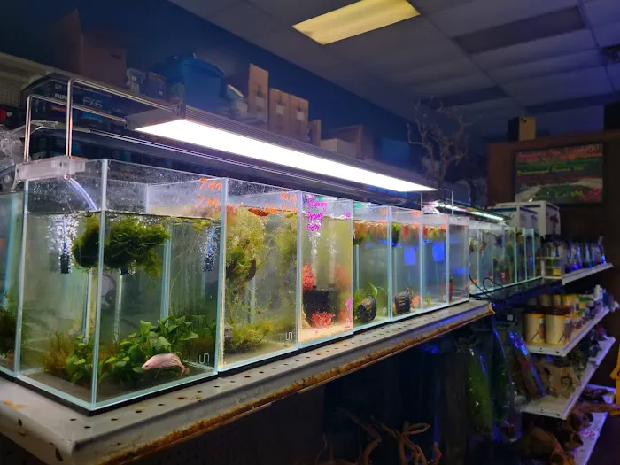 Rivers to Reefs Aquariums Picture 1