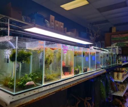 Rivers to Reefs Aquariums