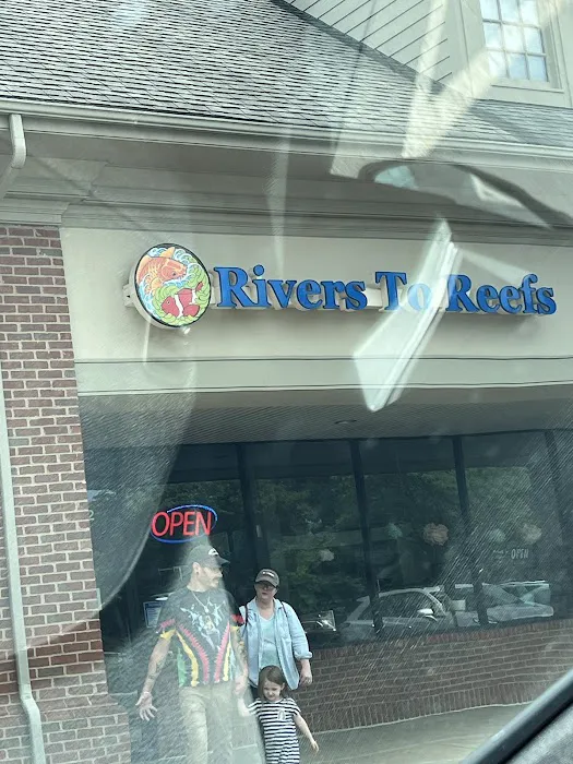 Rivers to Reefs Aquariums Picture 2
