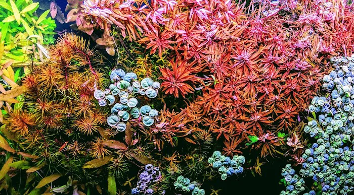 Rivers to Reefs Aquariums Picture 3