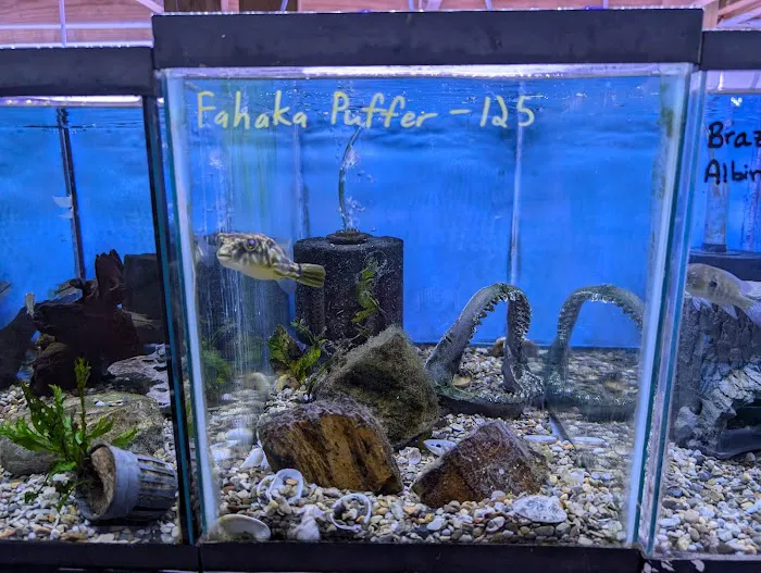 Rivers to Reefs Aquariums Picture 8