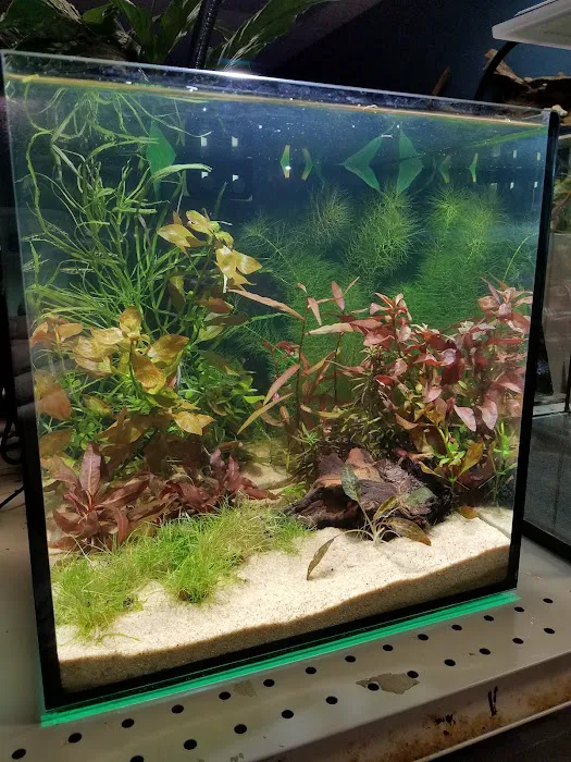 Rivers to Reefs Aquariums Picture 6