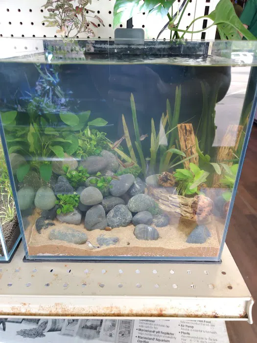 Rivers to Reefs Aquariums Picture 9